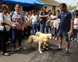 Std V Field Trip - Naval Academy and Nehru Science Centre